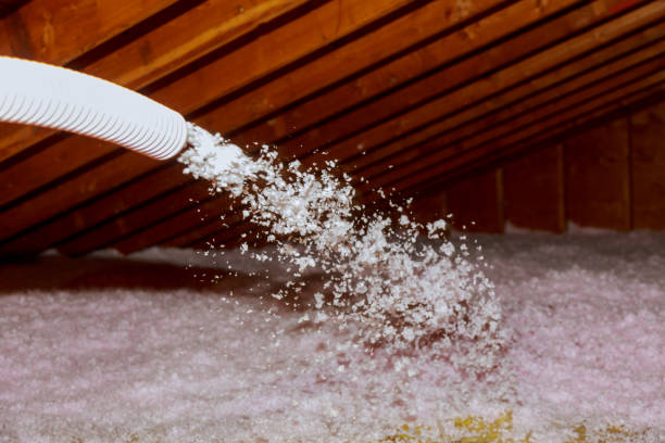 Best Local Insulation Services  in Lakemont, PA