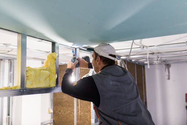 Best Residential Insulation Services  in Lakemont, PA