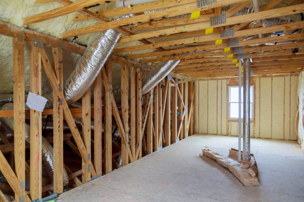 Best Insulation Removal  in Lakemont, PA