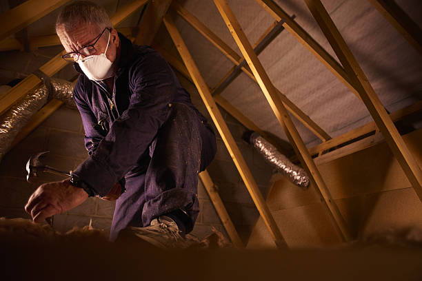 Best Insulation Contractors for Homes  in Lakemont, PA